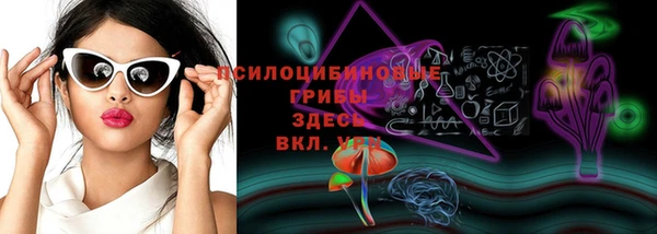 прущая мука Алзамай