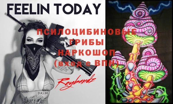 герыч Алексин