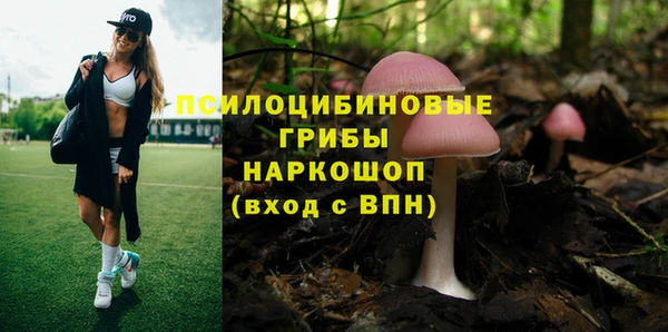 прущая мука Алзамай