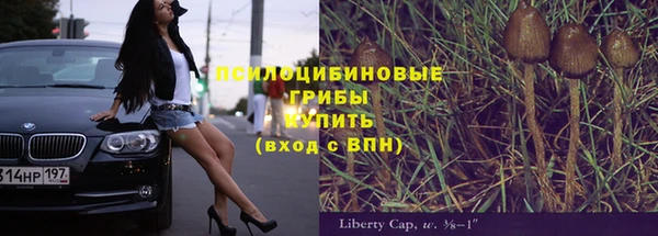 прущая мука Алзамай